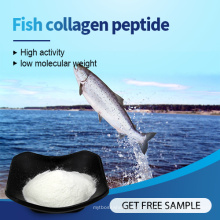 Precio al por mayor Péptidos de colágeno de proteínas hidrolizadas en polvo